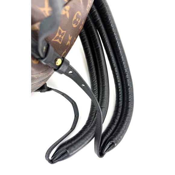 Louis Vuitton Backpack Palm Springs PM Monogram Canvas Backpack main image 11